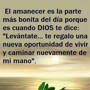 Meet your Posher, Lopez